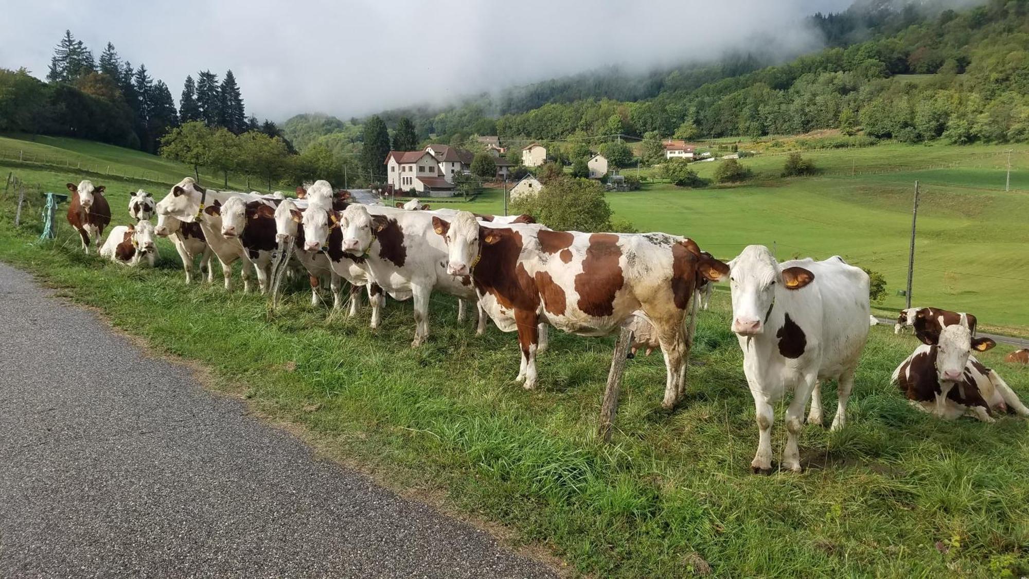 Un Pied Devant L'Autre Sainte-Marie-D'Alvey 외부 사진