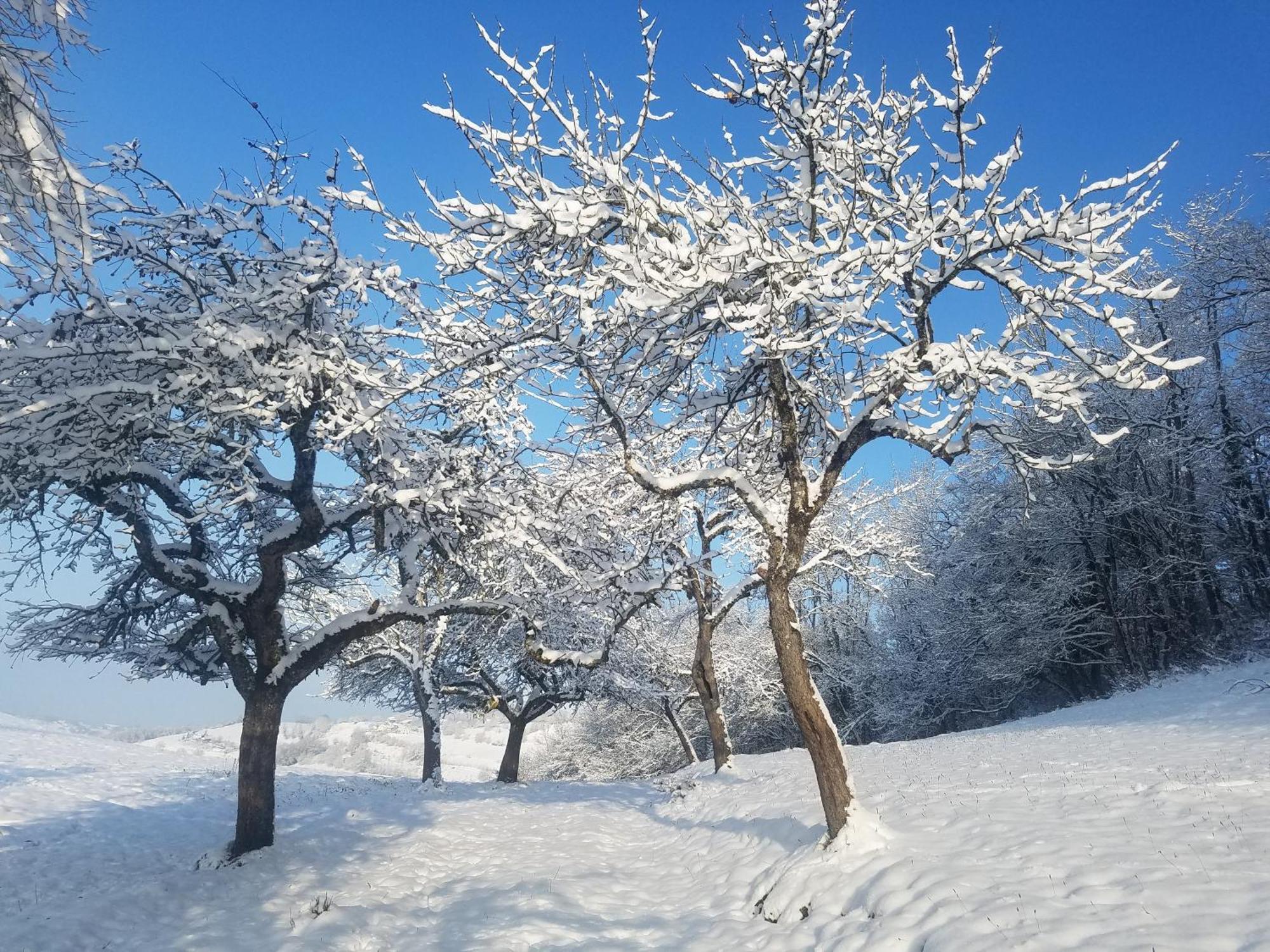 Un Pied Devant L'Autre Sainte-Marie-D'Alvey 외부 사진